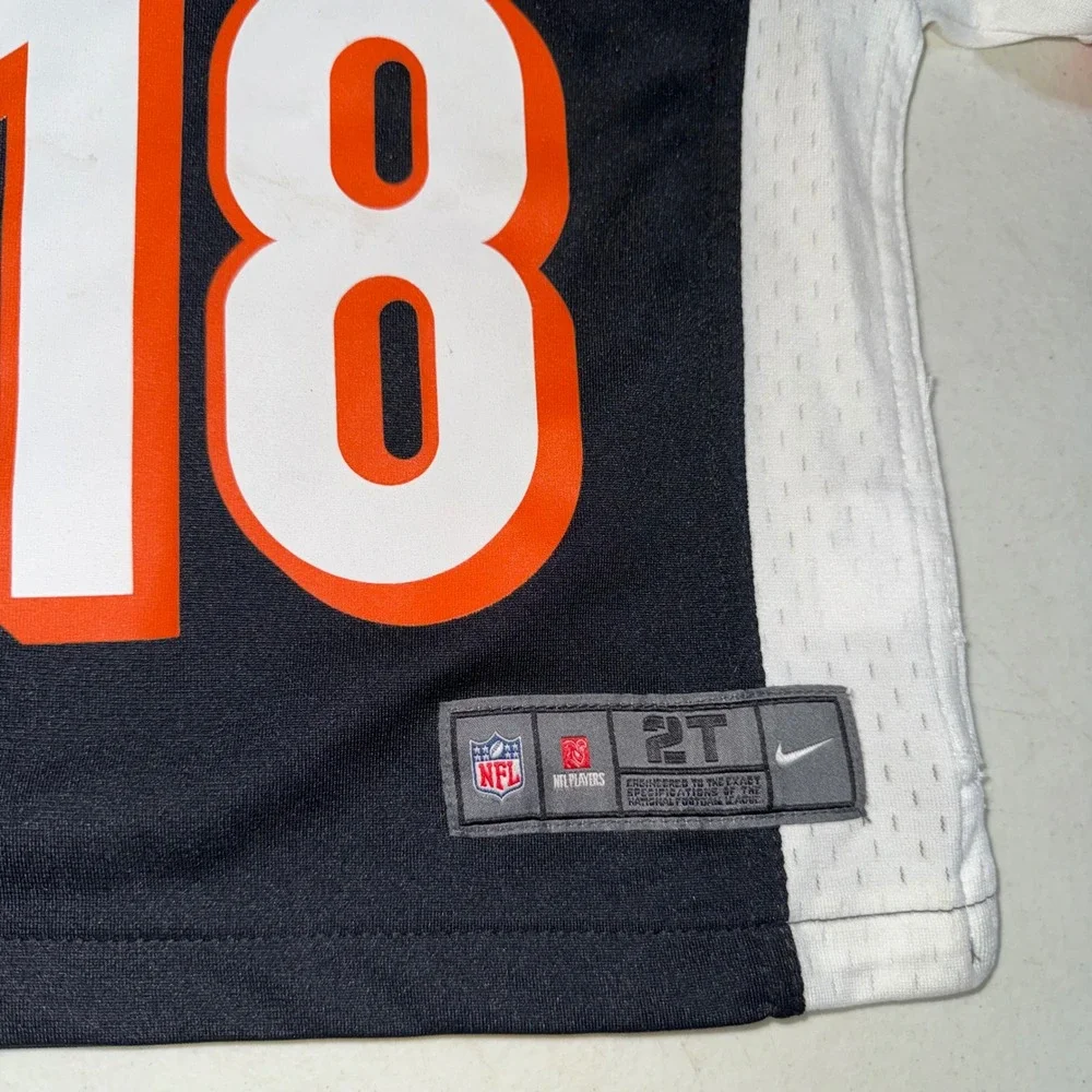 Cincinnati Bengals A.J. Green Jersey